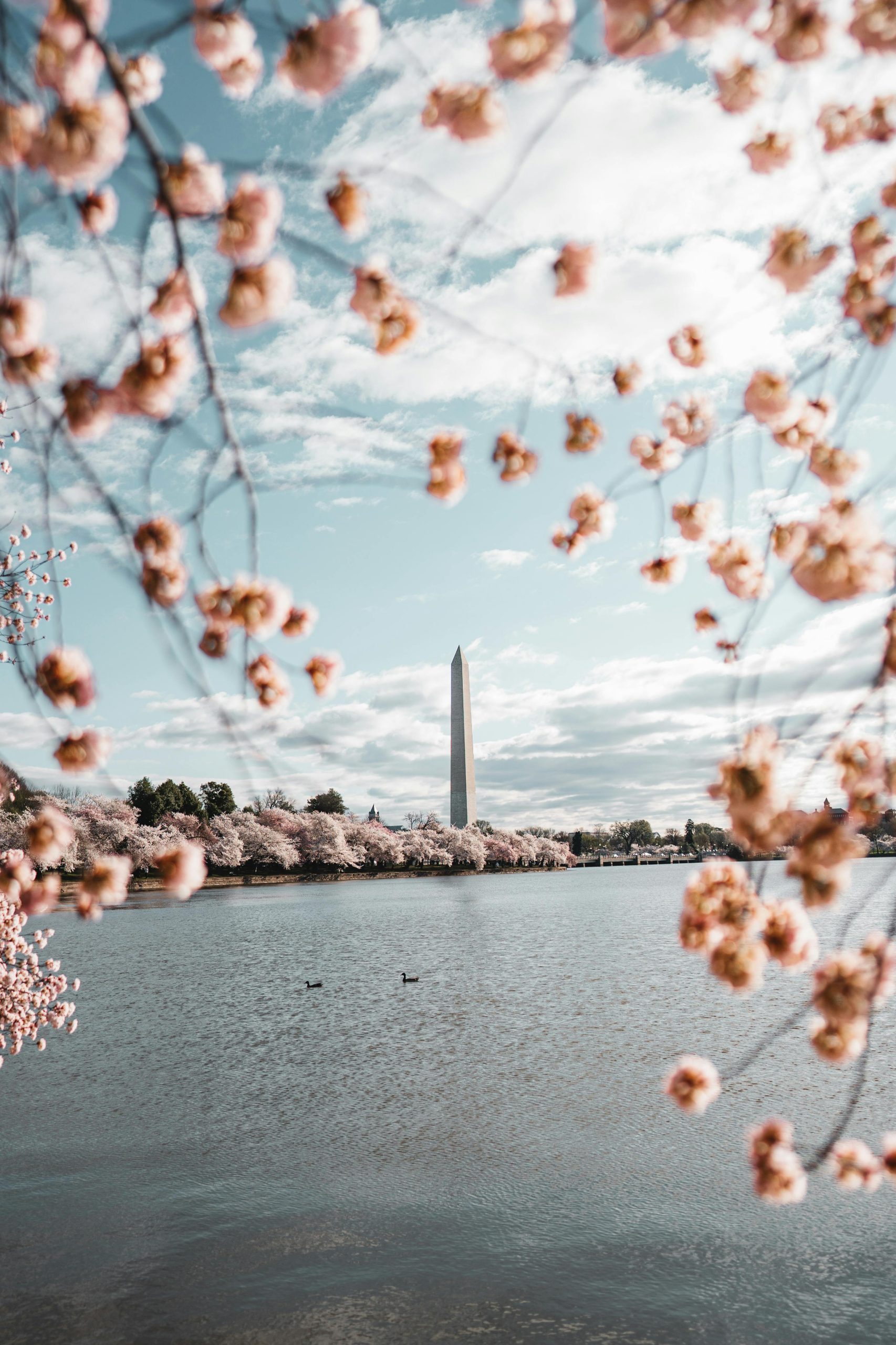 Spring Weekened Weekend Getaways: The Best Places to Visit for a Spring Break - Asili Glam